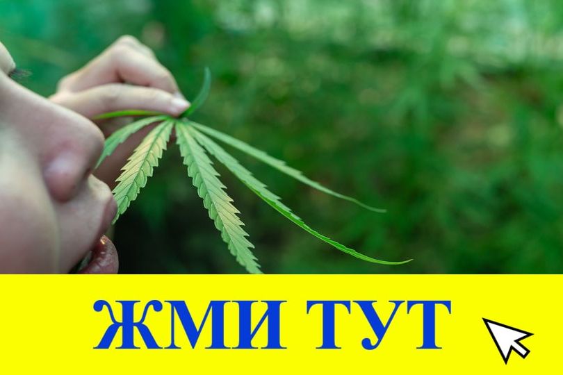 Купить наркотики в Туймазы